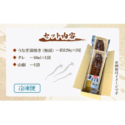 【3回定期便】うなぎ蒲焼き120g 1尾(無頭) Wun-0020