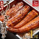 【2回定期便】うなぎ蒲焼き120g 1尾(無頭) Wun-0019
