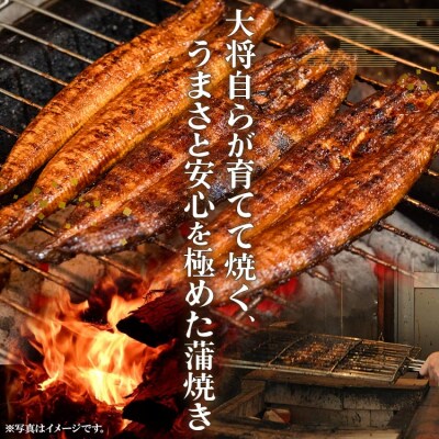 【12回定期便】うなぎ蒲焼き120g 3尾(無頭) Wun-0077