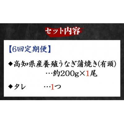 【6回定期便】高知県産養殖うなぎ蒲焼き 約200g×1尾 Wfb-0047