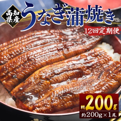 【12回定期便】高知県産養殖うなぎ蒲焼き 約200g×1尾 Wfb-0048