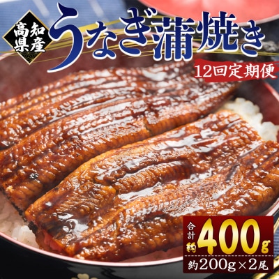 【12回定期便】高知県産養殖うなぎ蒲焼き 約200g×2尾 Wfb-0052