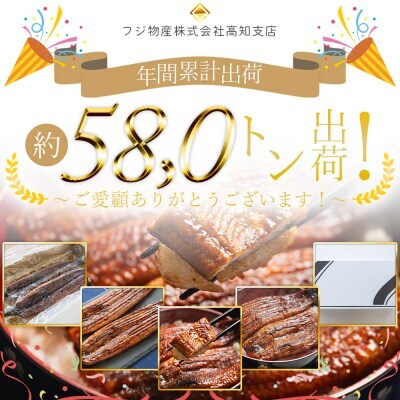 【12回定期便】高知県産養殖うなぎ蒲焼き 約200g×3尾 Wfb-0056