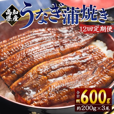 【12回定期便】高知県産養殖うなぎ蒲焼き 約200g×3尾 Wfb-0056