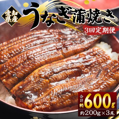 【3回定期便】国産養殖うなぎ蒲焼き 約200g×3尾(愛知県産鰻) Wfb-0078