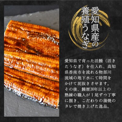 【3回定期便】国産養殖うなぎ蒲焼き 約200g×3尾(愛知県産鰻) Wfb-0078