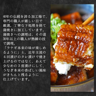 【3回定期便】国産養殖うなぎ蒲焼き 約200g×3尾(愛知県産鰻) Wfb-0078
