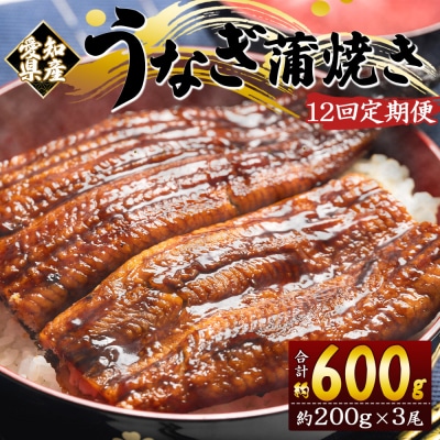 【12回定期便】国産養殖うなぎ蒲焼き 約200g×3尾(愛知県産鰻) Wfb-0080