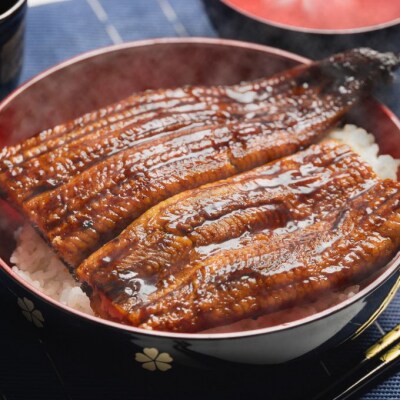 【12回定期便】国産養殖うなぎ蒲焼き 約200g×3尾(愛知県産鰻) Wfb-0080