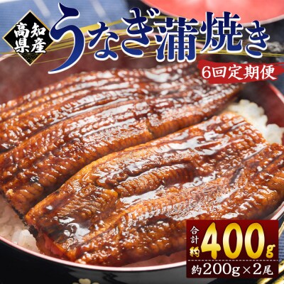 【6回定期便】高知県産 うなぎ蒲焼き 約200g×2尾 養殖 Wfb-0051