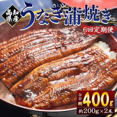 【6回定期便】高知県産 うなぎ蒲焼き 約200g×2尾 養殖 Wfb-0051
