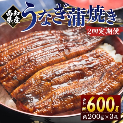 【2回定期便】高知県産養殖うなぎ蒲焼き 約200g×3尾 Wfb-0053