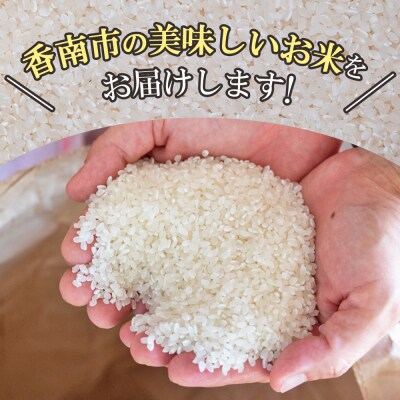 【米定期便】米10kg よさこい舞(奇数月) 合計30kg 3ヶ月 こしひかり Wkr-0095