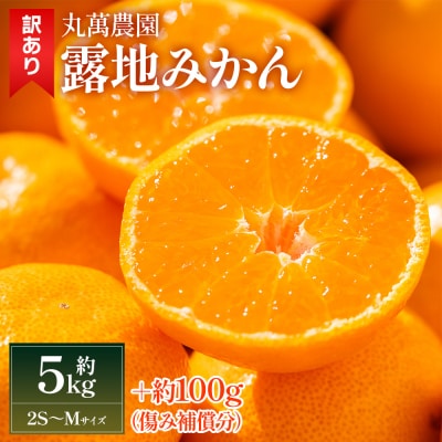 【2026年出荷分】露地みかん(2S～Mサイズ) 5kg 家庭用 丸萬農園 mn-0012