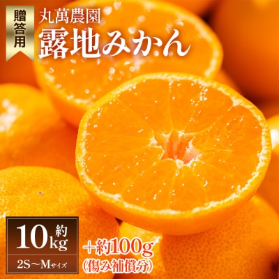 【2026年出荷分】露地みかん(2S～Mサイズ) 10kg 贈答用 丸萬農園 mn-0010