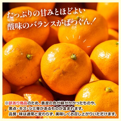 【2026年出荷分】訳あり みかん 10kg 小玉(2S～Mサイズ) 丸萬農園 mn-0013