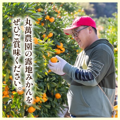 【2026年出荷分】訳あり みかん 10kg 小玉(2S～Mサイズ) 丸萬農園 mn-0013