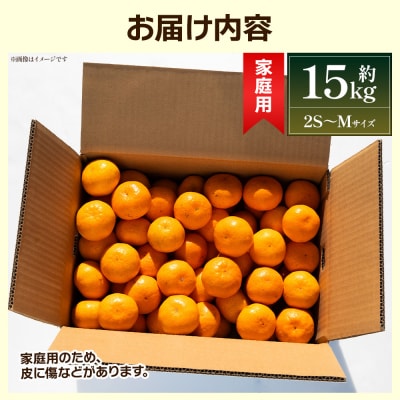【2026年出荷分】訳あり みかん 15kg 小玉(2S～Mサイズ)家庭用 丸萬農園 mn-0014