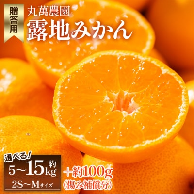 【2026年出荷分】みかん 小玉(2S～Mサイズ) 5kg 贈答用 丸萬農園 mn-0009