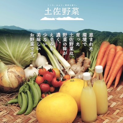 【定期便】野菜 2回コース 高知県香南市産 旬のお野菜詰合せ(10～13品目) Wpr-0018