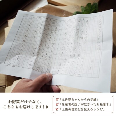 【定期便】野菜 2回コース 高知県香南市産 旬のお野菜詰合せ(10～13品目) Wpr-0018