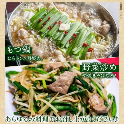 ニラ にら 1kg(100g×10束) 香南市産のニラ kk-0001
