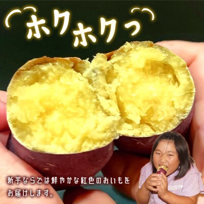 【2026年出荷分】【土佐紅】さつまいも Mサイズ 5kg at-0050