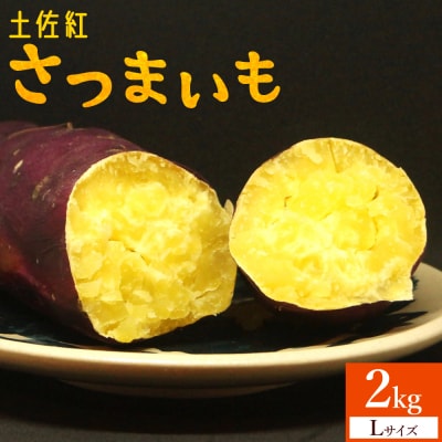 【2026年出荷分】【土佐紅】さつまいも Lサイズ 2kg at-0052