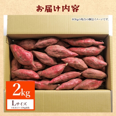 【2026年出荷分】【土佐紅】さつまいも Lサイズ 2kg at-0052
