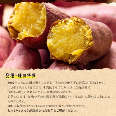 【2026年12月以降順次発送】紅はるか さつまいも スイーツ Mサイズ 2kg at-0058