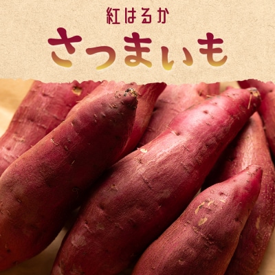 【2026年12月以降順次発送】紅はるか さつまいも スイーツ Mサイズ 10kg at-0060