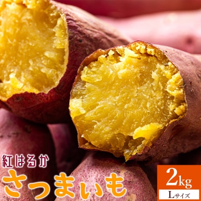 【2026年12月以降順次発送】紅はるか さつまいも スイーツ Lサイズ 2kg at-0061
