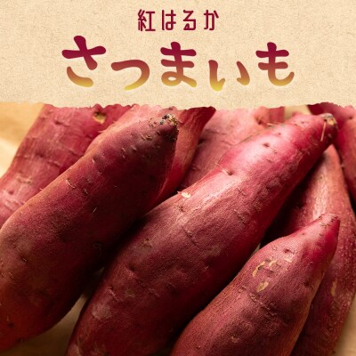 【2026年12月以降順次発送】紅はるか さつまいも スイーツ Lサイズ 5kg at-0062