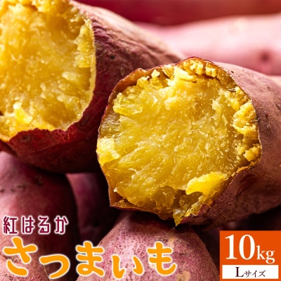 【2026年12月以降順次発送】紅はるか さつまいも スイーツ Lサイズ 10kg at-0063