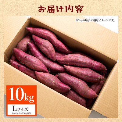 【2026年12月以降順次発送】紅はるか さつまいも スイーツ Lサイズ 10kg at-0063