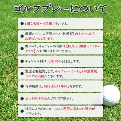 KOCHI黒潮カントリークラブ(土日祝日)&リゾートホテル海辺の果樹園 1泊2食付 hj-0004