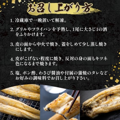 うなぎ 国産 白焼き 5尾 合計500g以上 yw-0086
