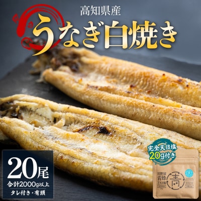 白焼き 国産うなぎ 高知県産 20尾 合計2kg以上 yw-0088