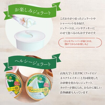 【ジェラート】いろいろな商品が味わえる バラエティギフト セット 合計20個 dc-0066