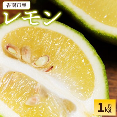 レモン 1kg - 香南市産 国産 檸檬 れもん 果物 くだもの フルーツ sj-0001