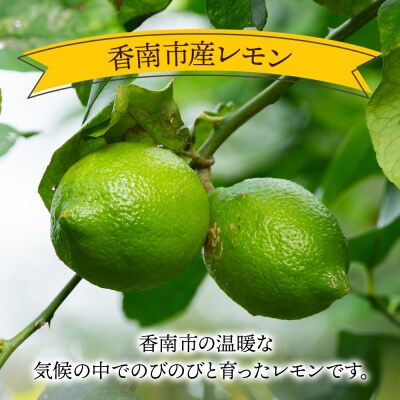レモン 1kg - 香南市産 国産 檸檬 れもん 果物 くだもの フルーツ sj-0001