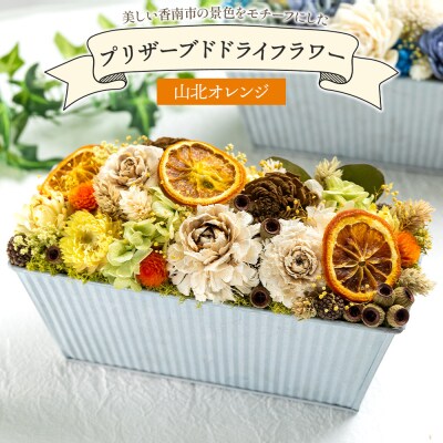 ドライフラワー プリザーブドライフラワー 山北オレンジ 花雑貨 SOU flower sf-0002