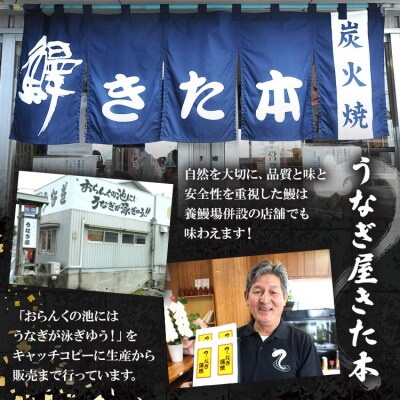 【2回定期便】うなぎ蒲焼き120g 2尾(無頭) Wun-0069