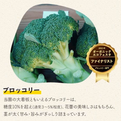 【令和8年12月中旬発送開始】ブロッコリー 約2kg 4～5個入り sy-0010