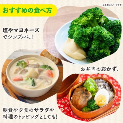 【令和8年12月中旬発送開始】ブロッコリー 約2kg 4～5個入り sy-0010