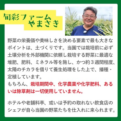 【令和8年12月中旬発送開始】ブロッコリー 約2kg 4～5個入り sy-0010