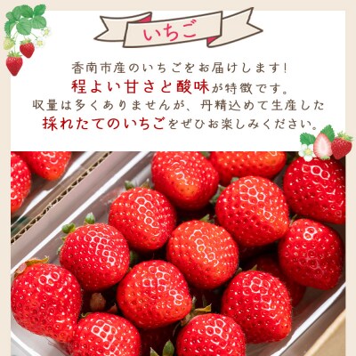 いちご 4パック 計60個程度 yr-0054