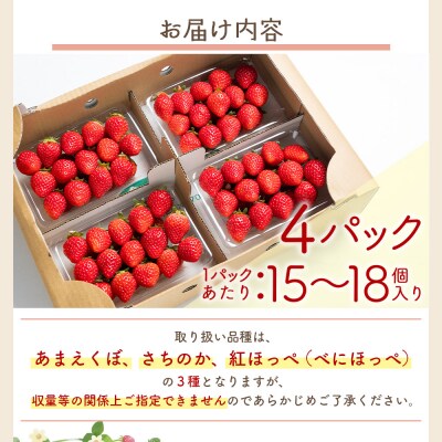 いちご 4パック 計60個程度 yr-0054