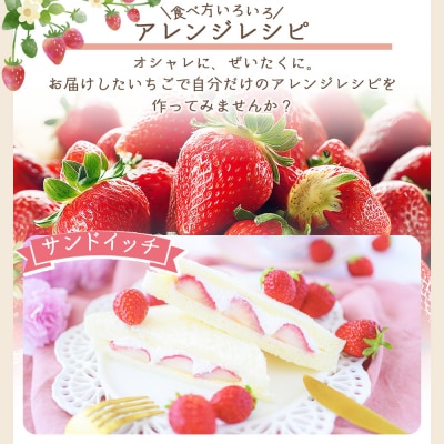 いちご 4パック 計60個程度 yr-0054