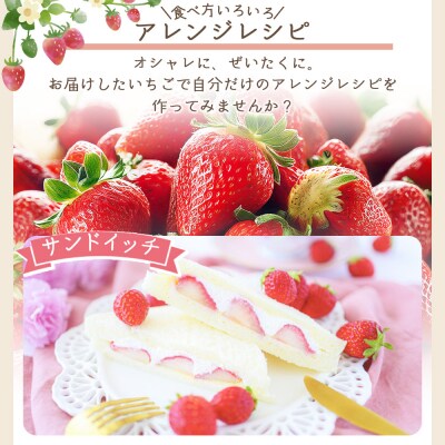 いちご 4パック 計60個程度 yr-0054